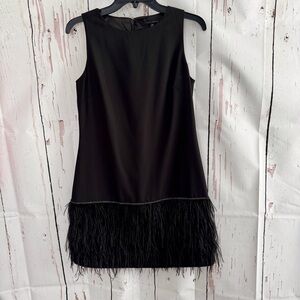 Alex Marie Elegant Black Ostrich Feathered Hem Dress 4P